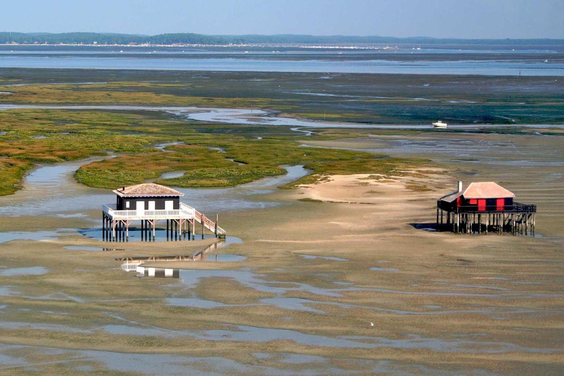 Un Toit Sur Le Bassin Claouey Hotel Lège-Cap-Ferret Buitenkant foto